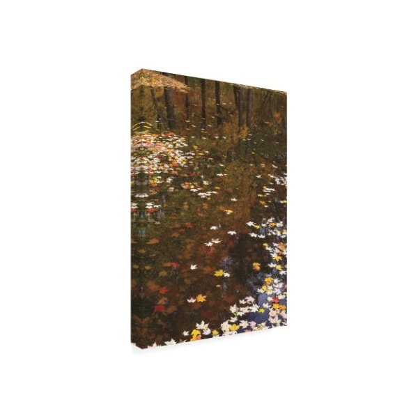 Kurt Shaffer Photographs 'November Reflections' Canvas Art,30x47